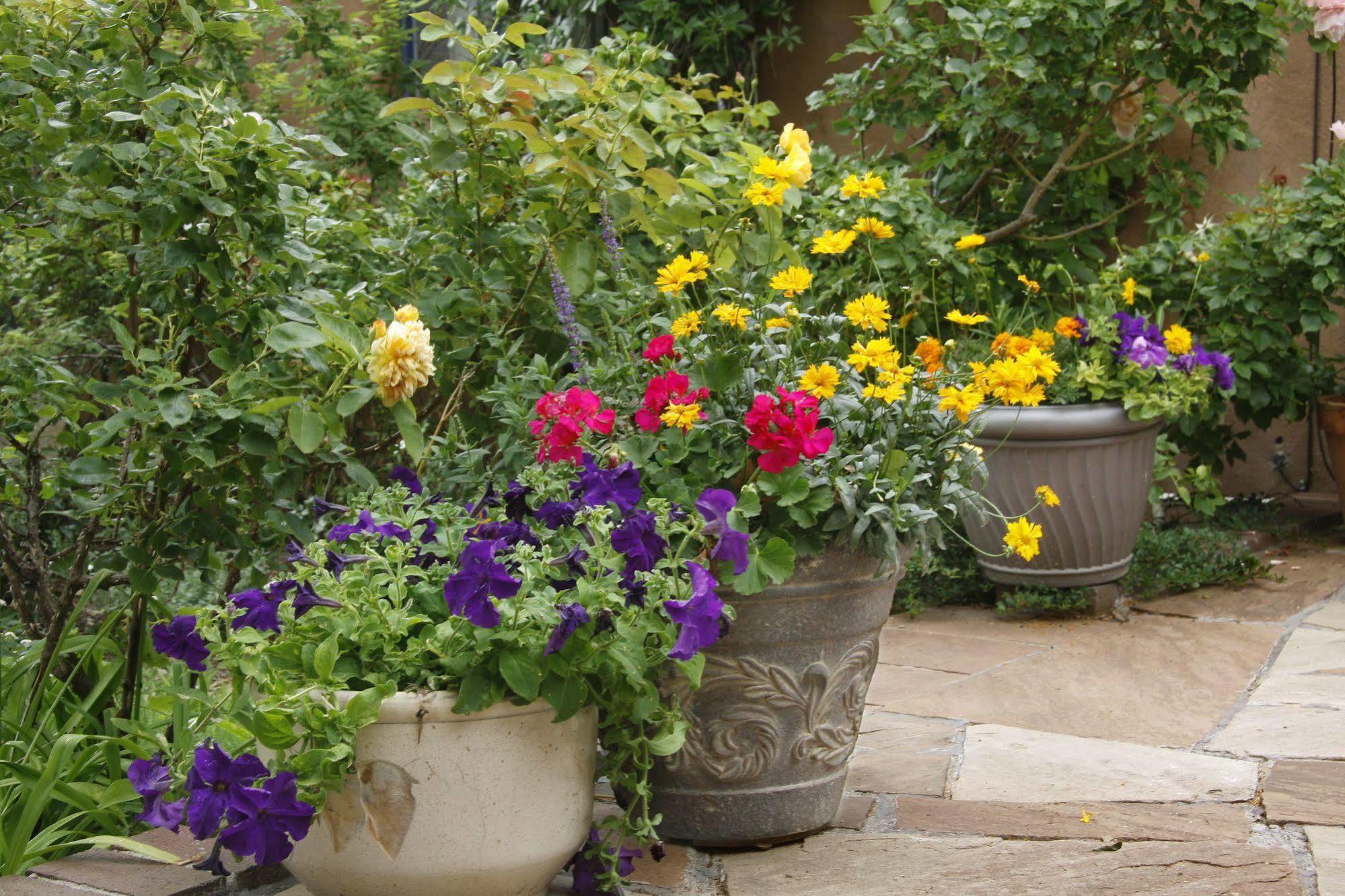 The Madeleine Bed & Breakfast Inn Σάντα Φε Εξωτερικό φωτογραφία